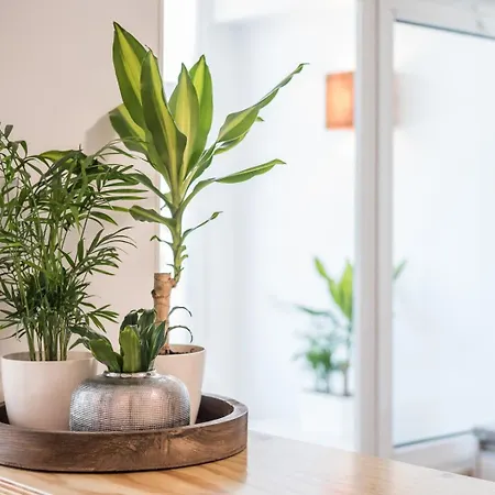 Guestready - Sunny Patio Paradise In *