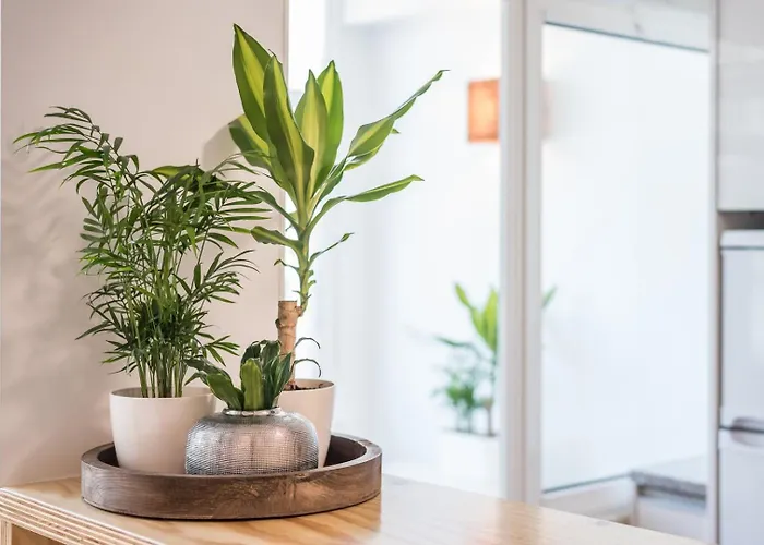 Guestready - Sunny Patio Paradise In *